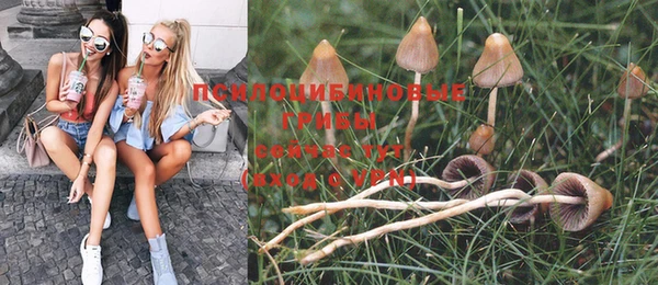 стафф Абинск