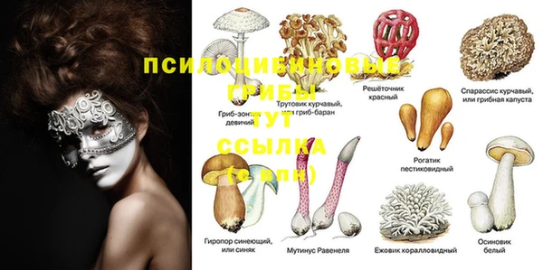 стафф Абинск