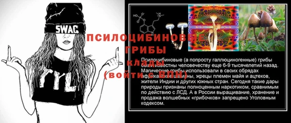 каннабис Абаза