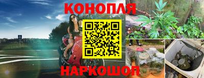 ГАЛЛЮЦИНОГЕННЫЕ ГРИБЫ Жуковский