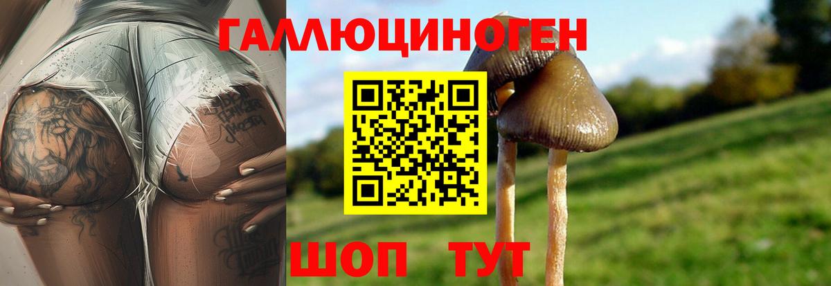Галлюциногенные грибы Psilocybine cubensis  где продают наркотики  Нижнекамск  Вход с VPN 